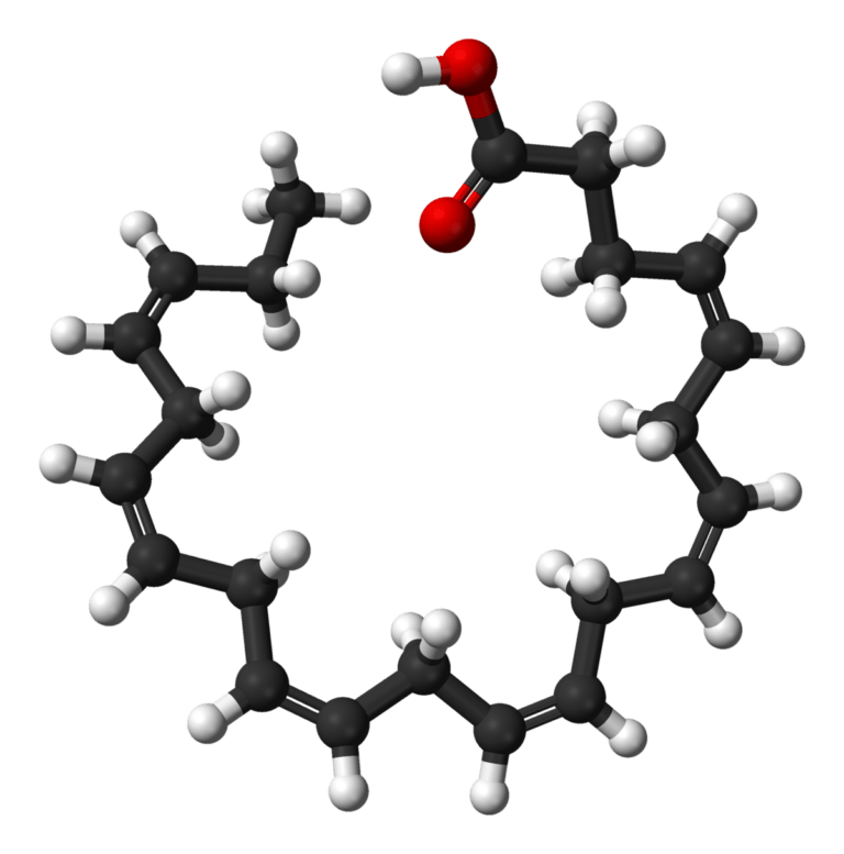 Boost Your Brains, With DHA Chain! Liv Healthy Life