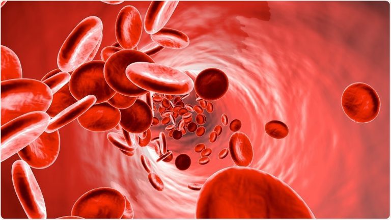 How to Treat and Prevent Anaemia? - Liv Healthy Life