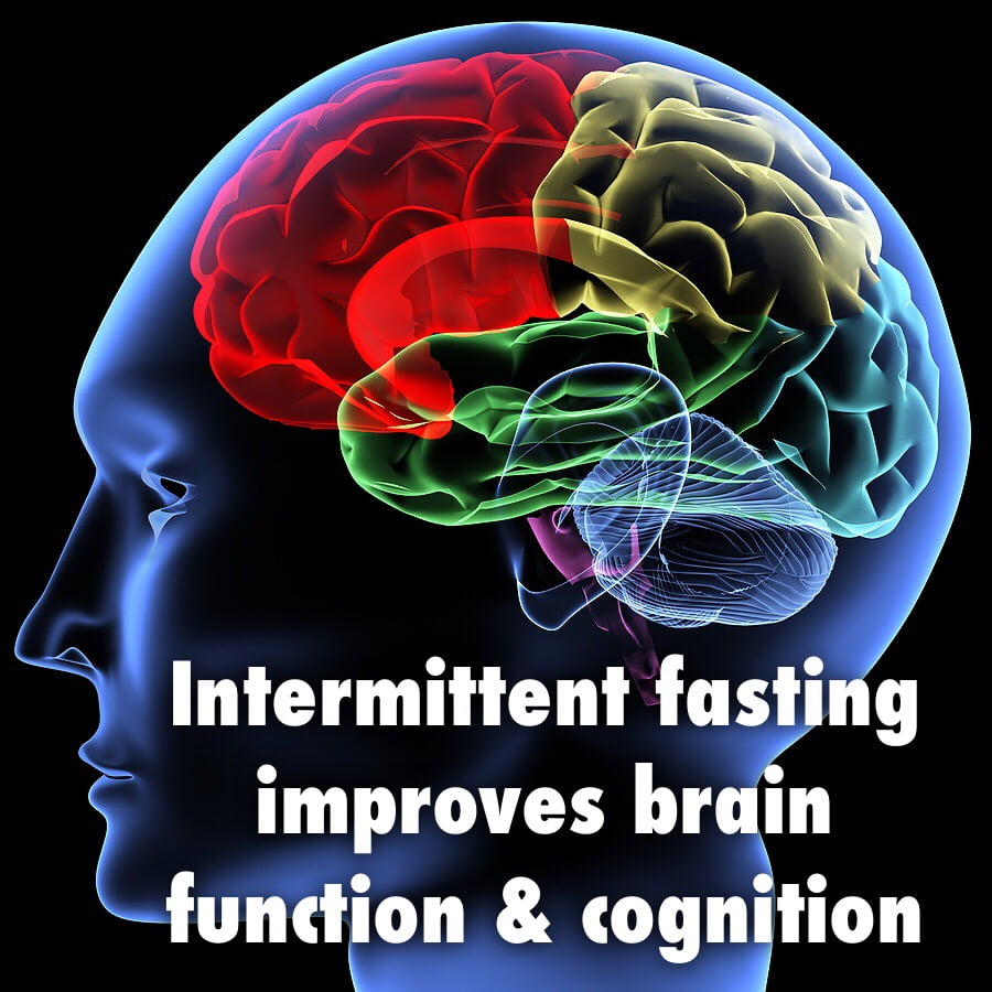 intermittent fasting and brain health