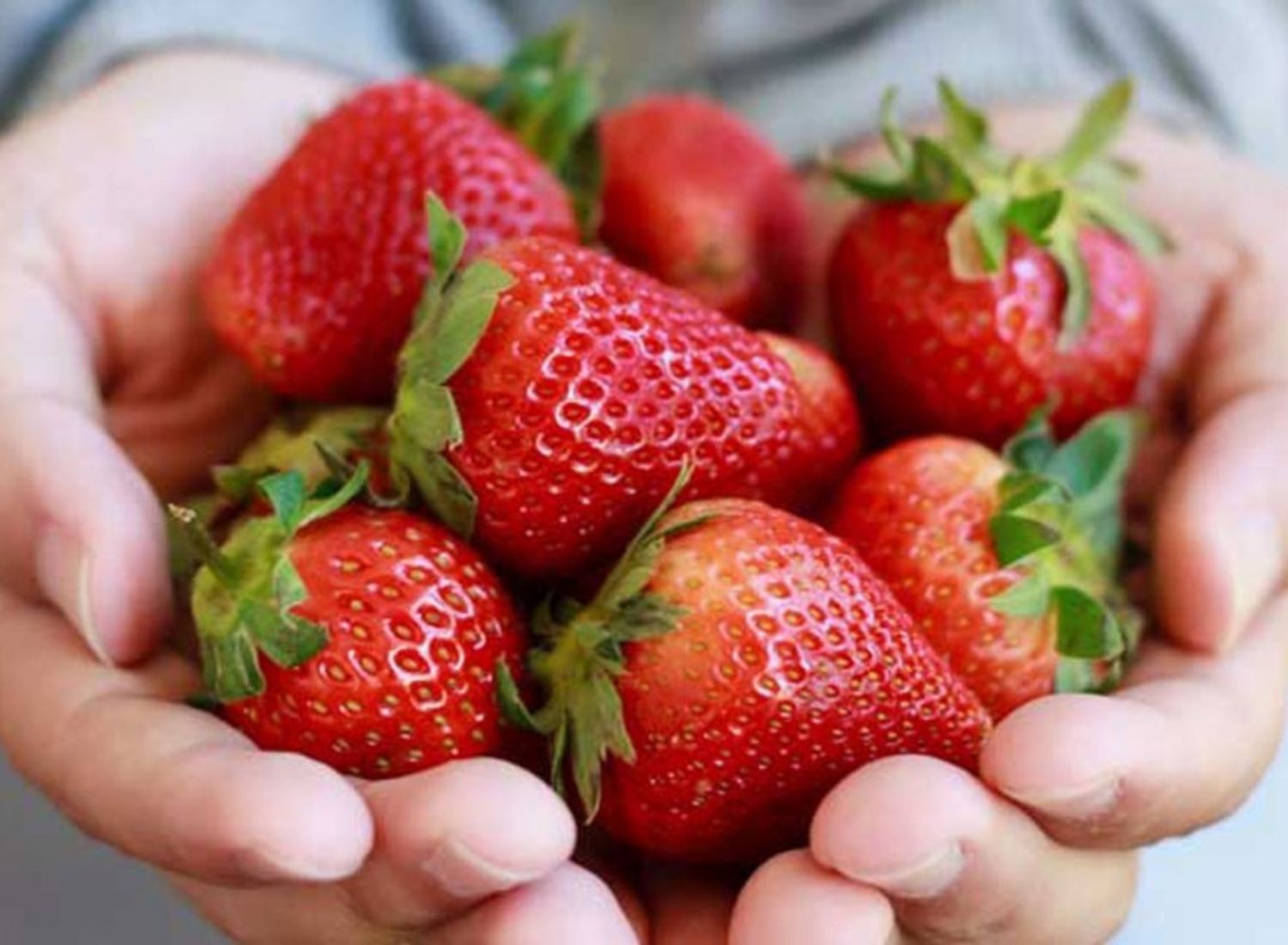 14 Health Benefits Of Strawberries