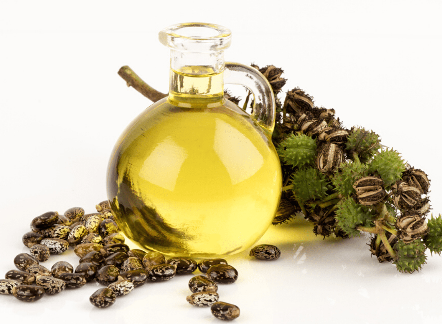 Is Castor Oil Or Olive Oil Better For Eyebrows