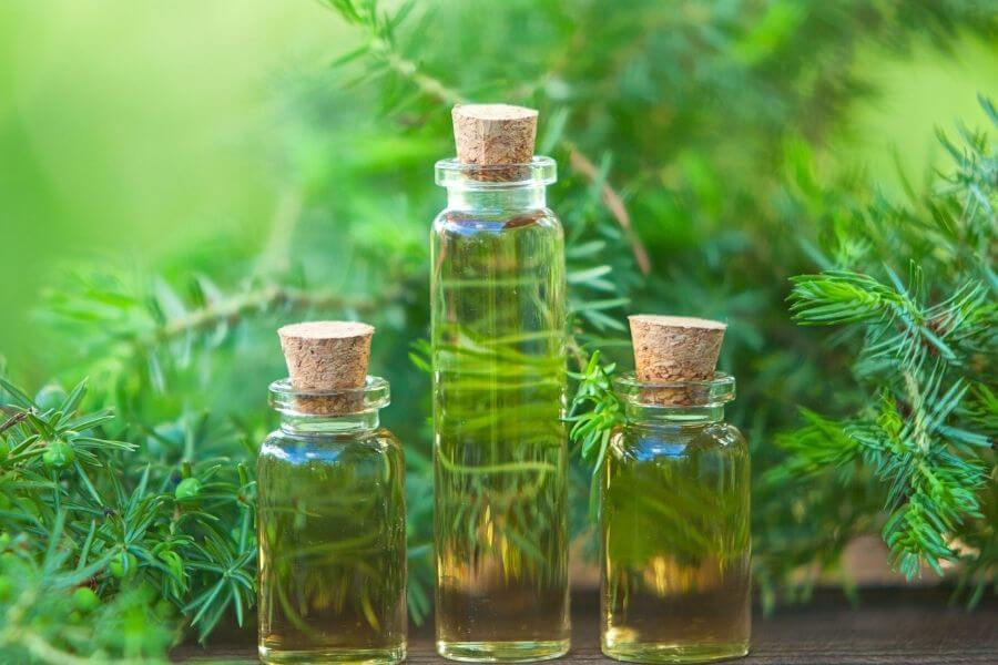 Tea Tree Hair Oil