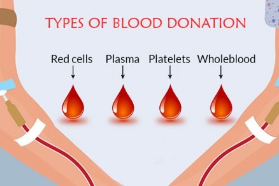 Different Types Of Blood Donation