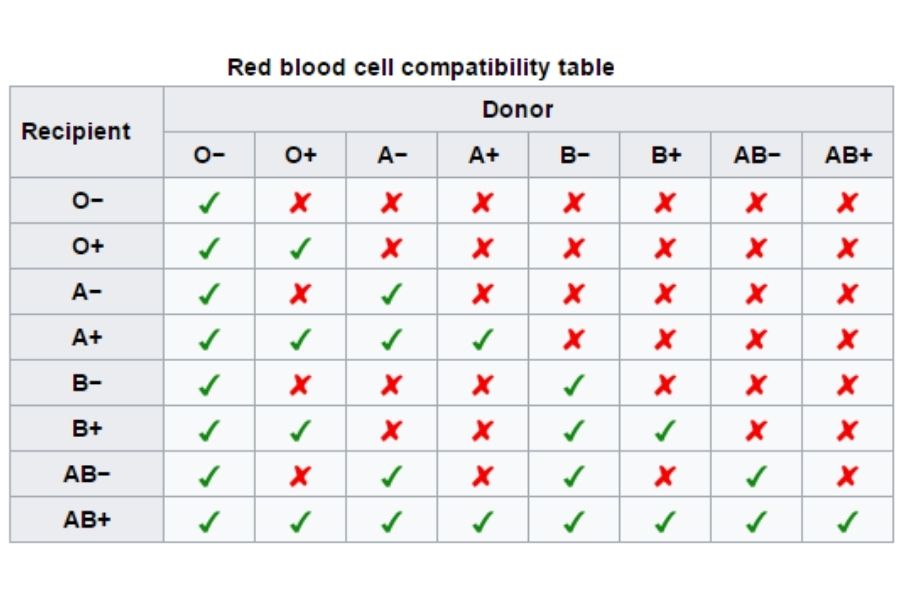 Blood Group Compatibility