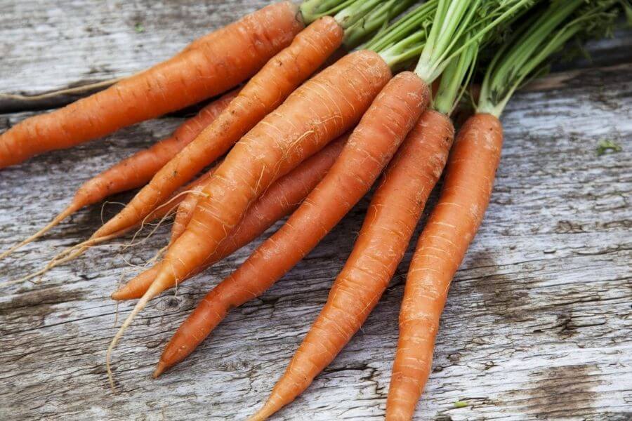 Carrots Are Rich In Vitamin A.