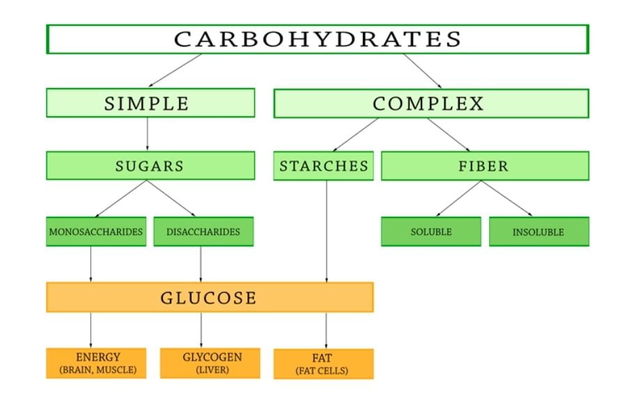 Different Types Of Carbs