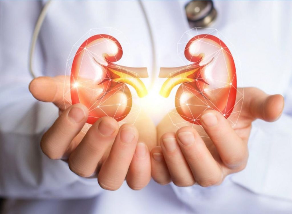 6 Golden Steps To Keep Your Kidneys Healthy (With Food Guide)