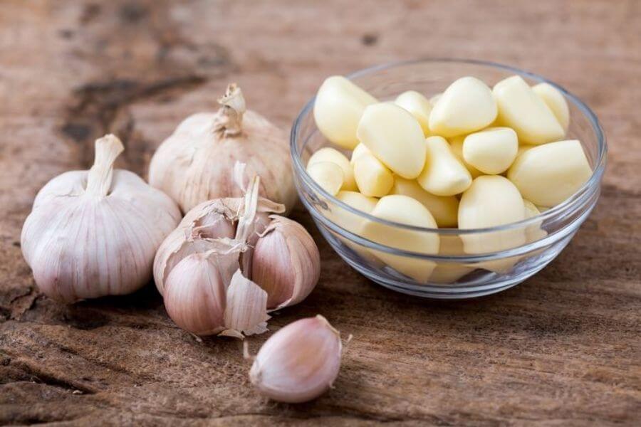 Garlic