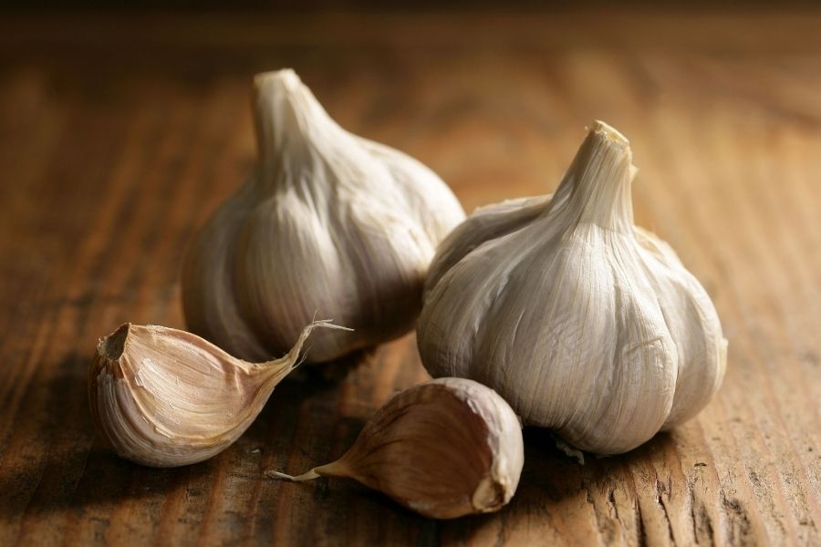 Garlic