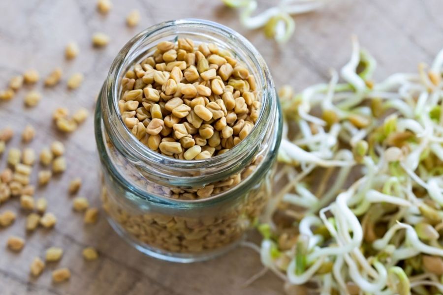  Fenugreek Seeds And Yoghurt