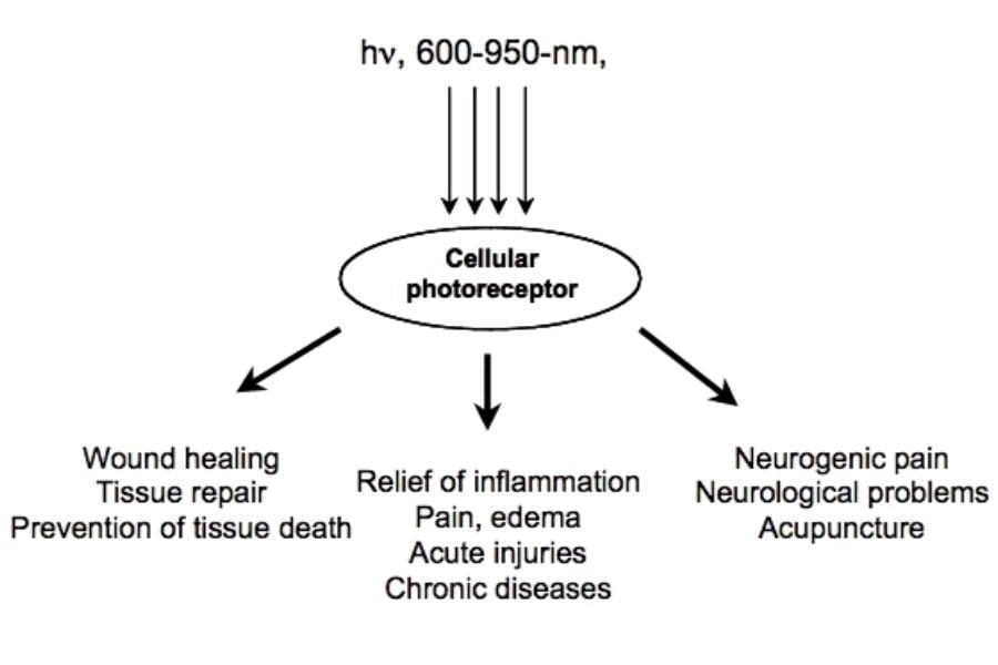 Mechanism Of Low-level Light Therapy, Michael R. Hamblin