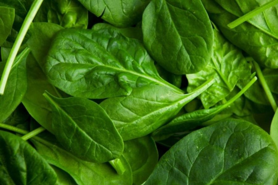 Spinach Prevents Iron-deficiency Risk