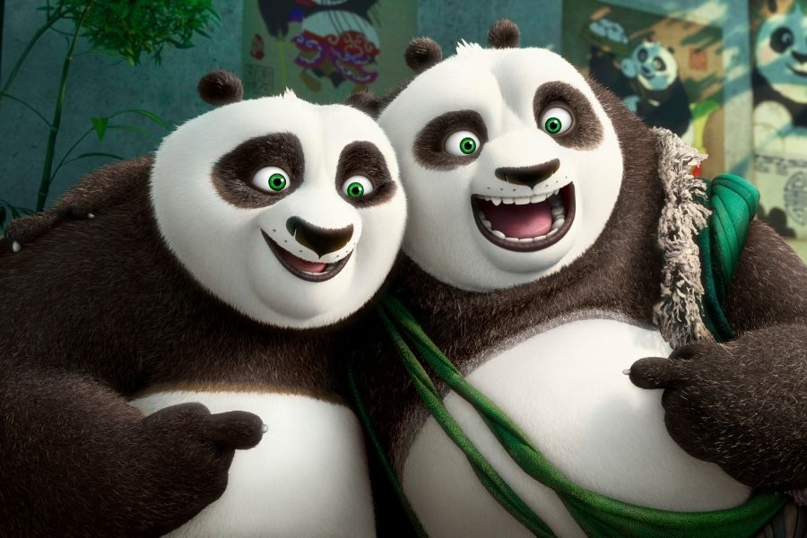 About Kung Fu Panda