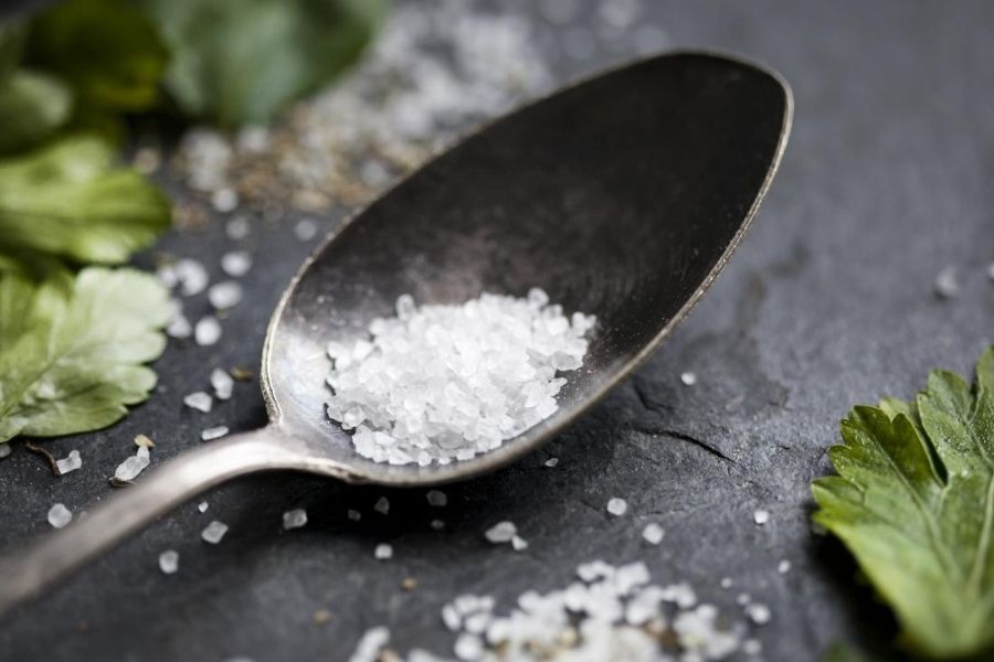 Salt And Gut Microbiome