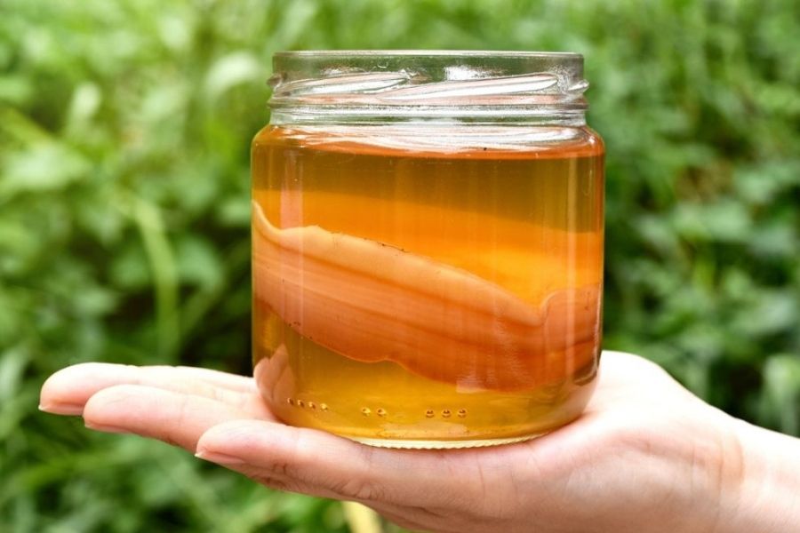 Kombucha Tea