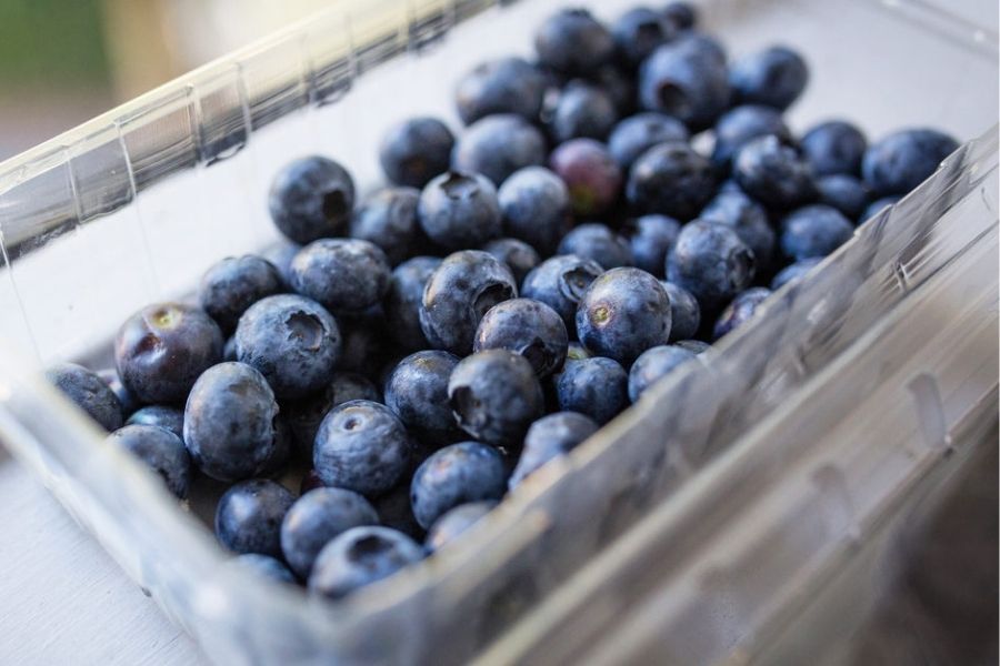 Blueberries And Cancer