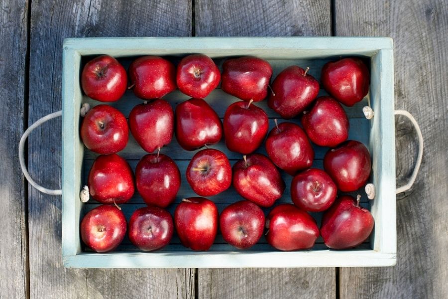 Apples Help Promote Healthy Heart