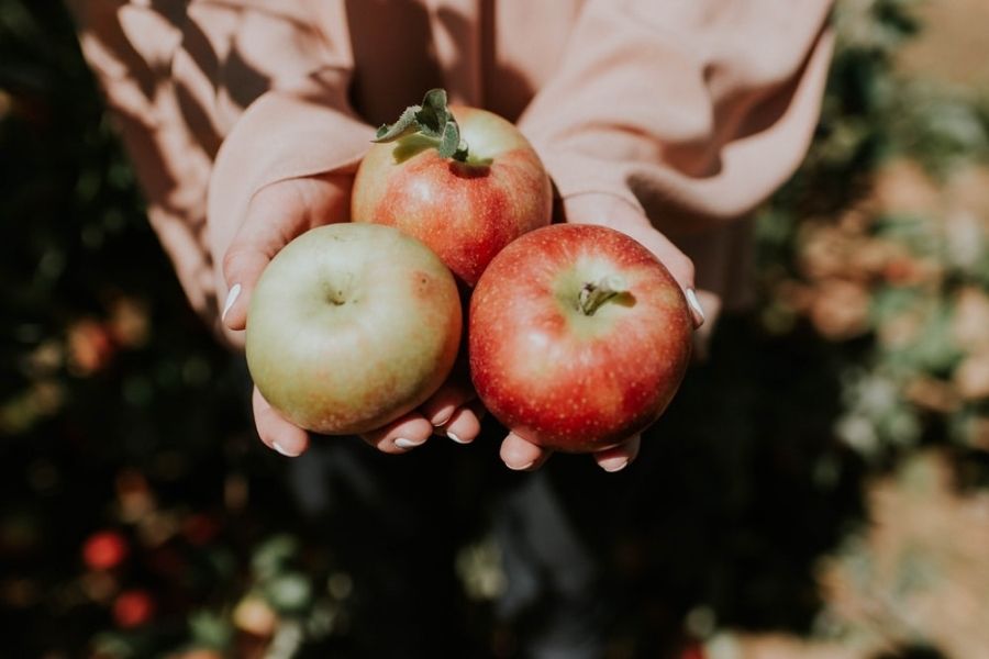 Apples Help Treat Asthma 