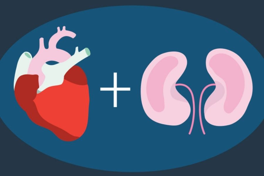 Cardiovascular And Kidney Disorders