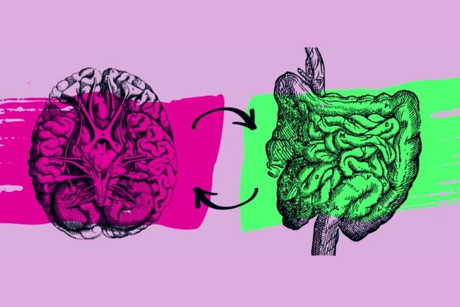 Gut-brain Connection