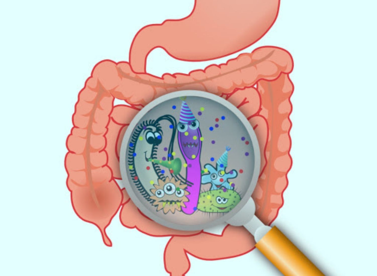 Understanding Gut Microbiota