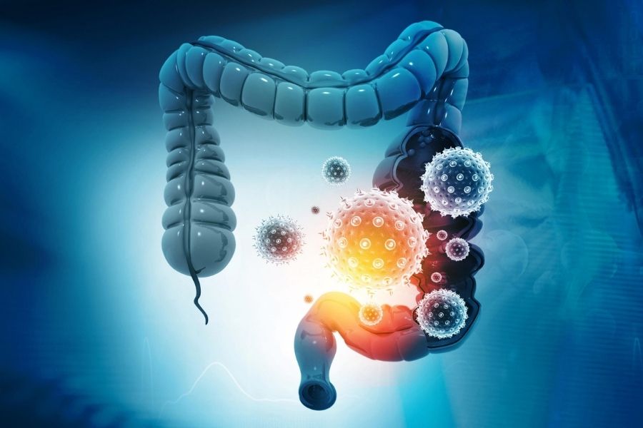 Hot Topic: Gut Microbiota And Covid-19 Researches
